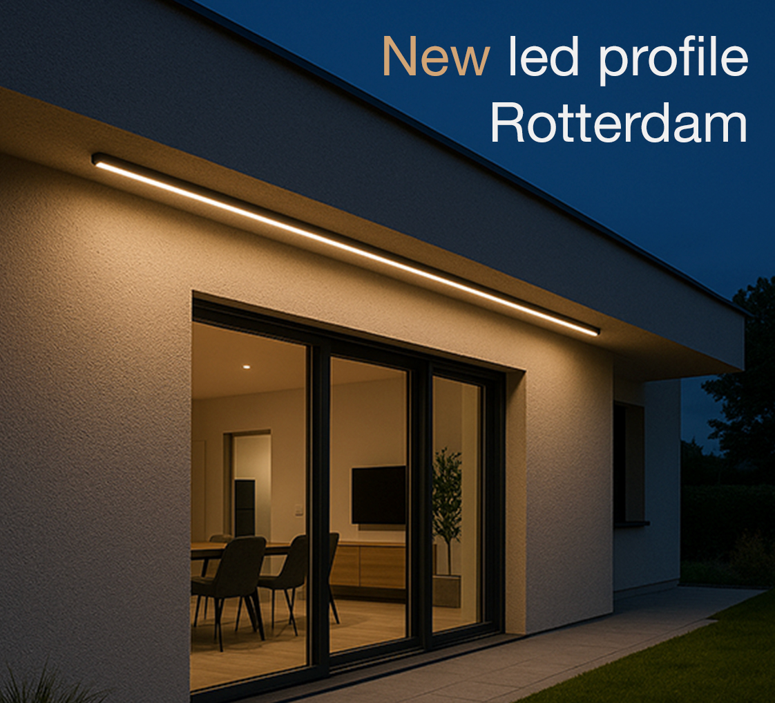 Noticia Rotterdam_en.jpg